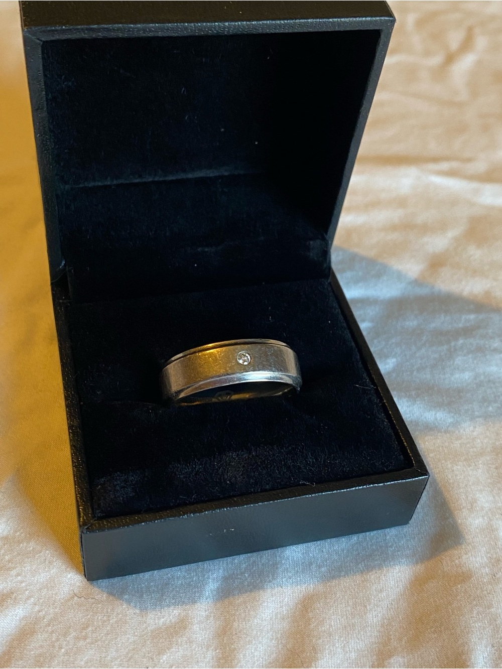 Titanium Men's Ring with Single Accent Stone 11.5